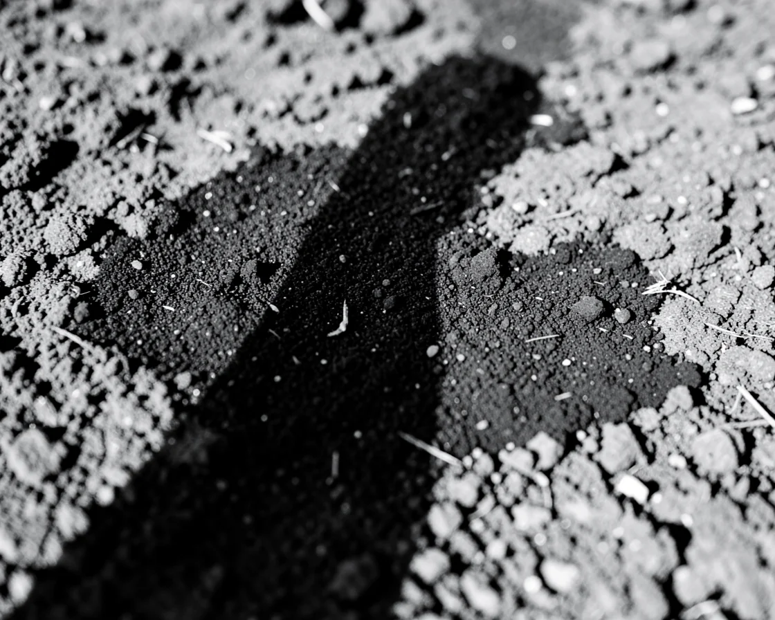Earthen Trace — Flux AI prompt