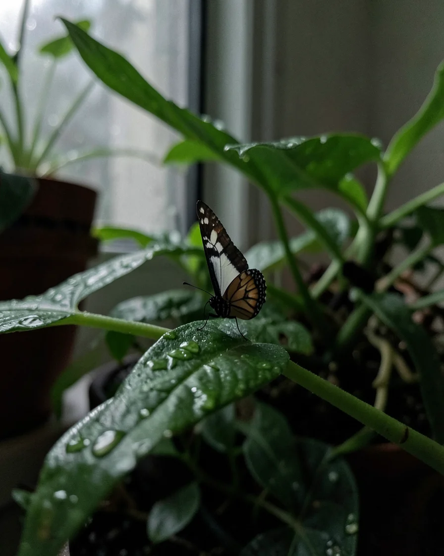 Winged Quiet — Flux AI prompt