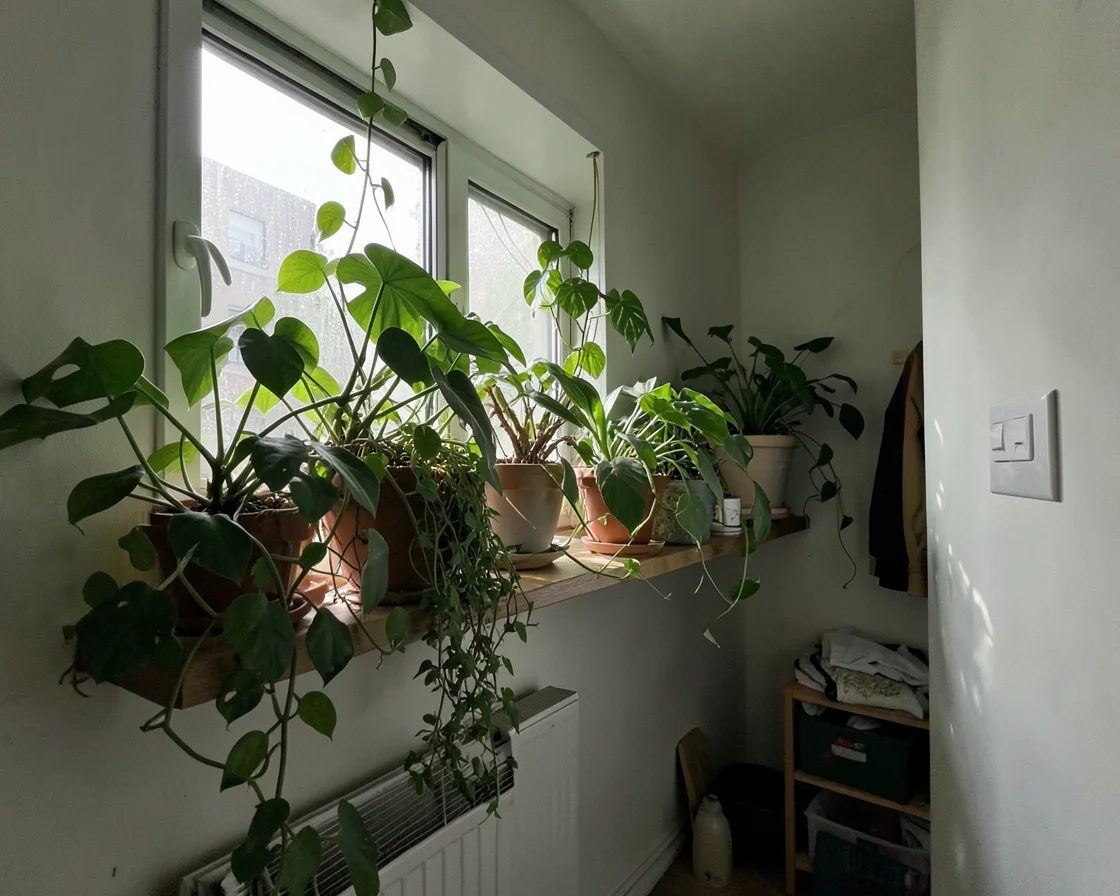 Verdant Overlap — Flux AI prompt