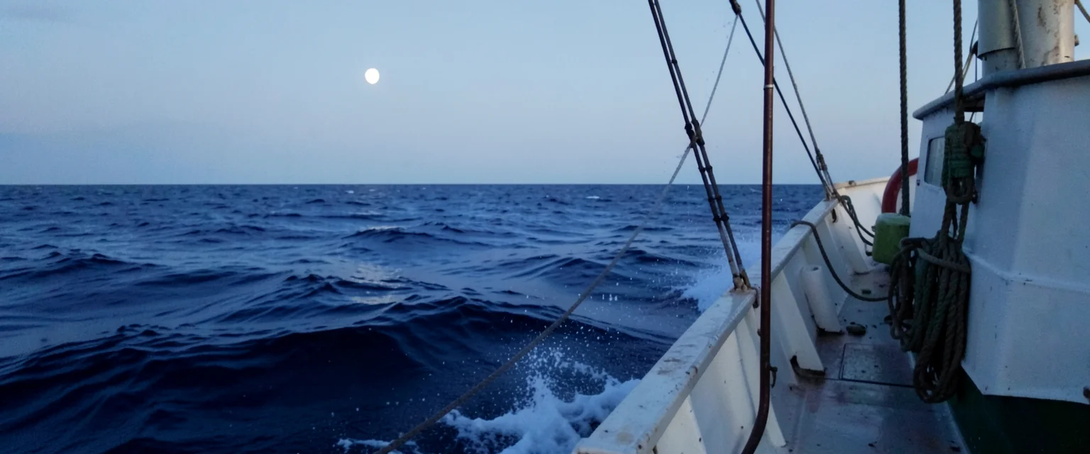 Ocean Horizon Drift — Flux AI prompt